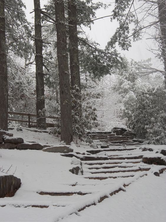 Top of Stone Steps at Falling Creek Camp