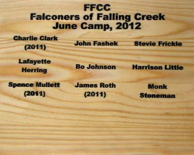 Falconer’s of Falling Creek Camp June 2012