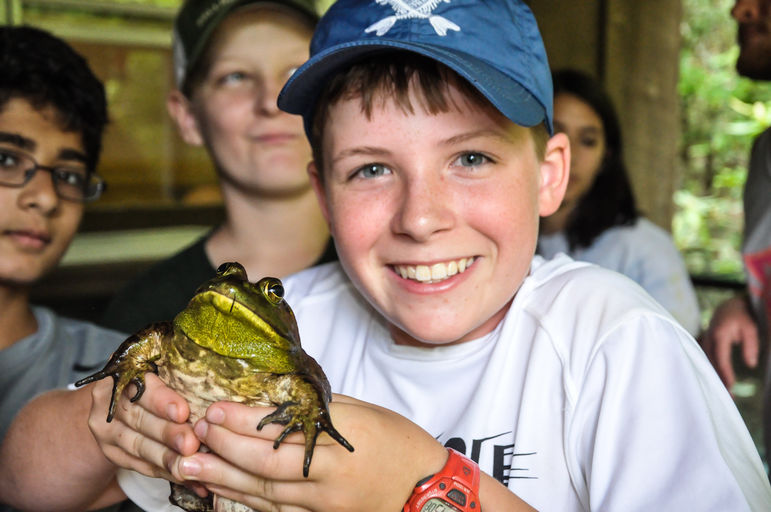 Falling Creek Bullfrog