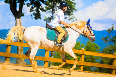 falling creek horseback riding