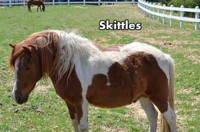 Skittles