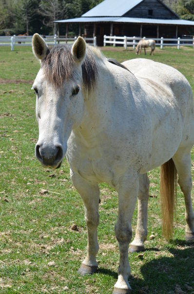 Romeo9